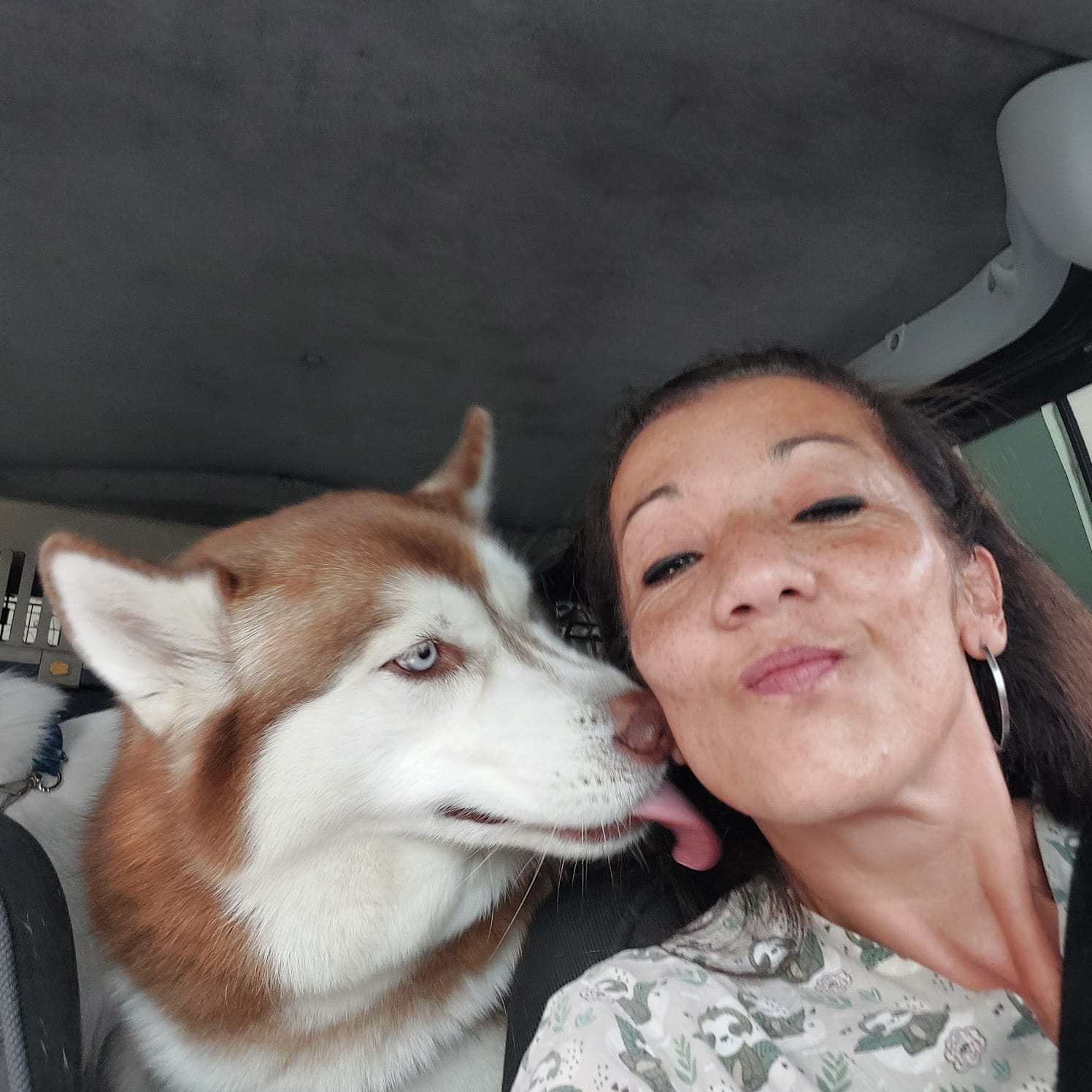 Cuidado e afeto com cada pet