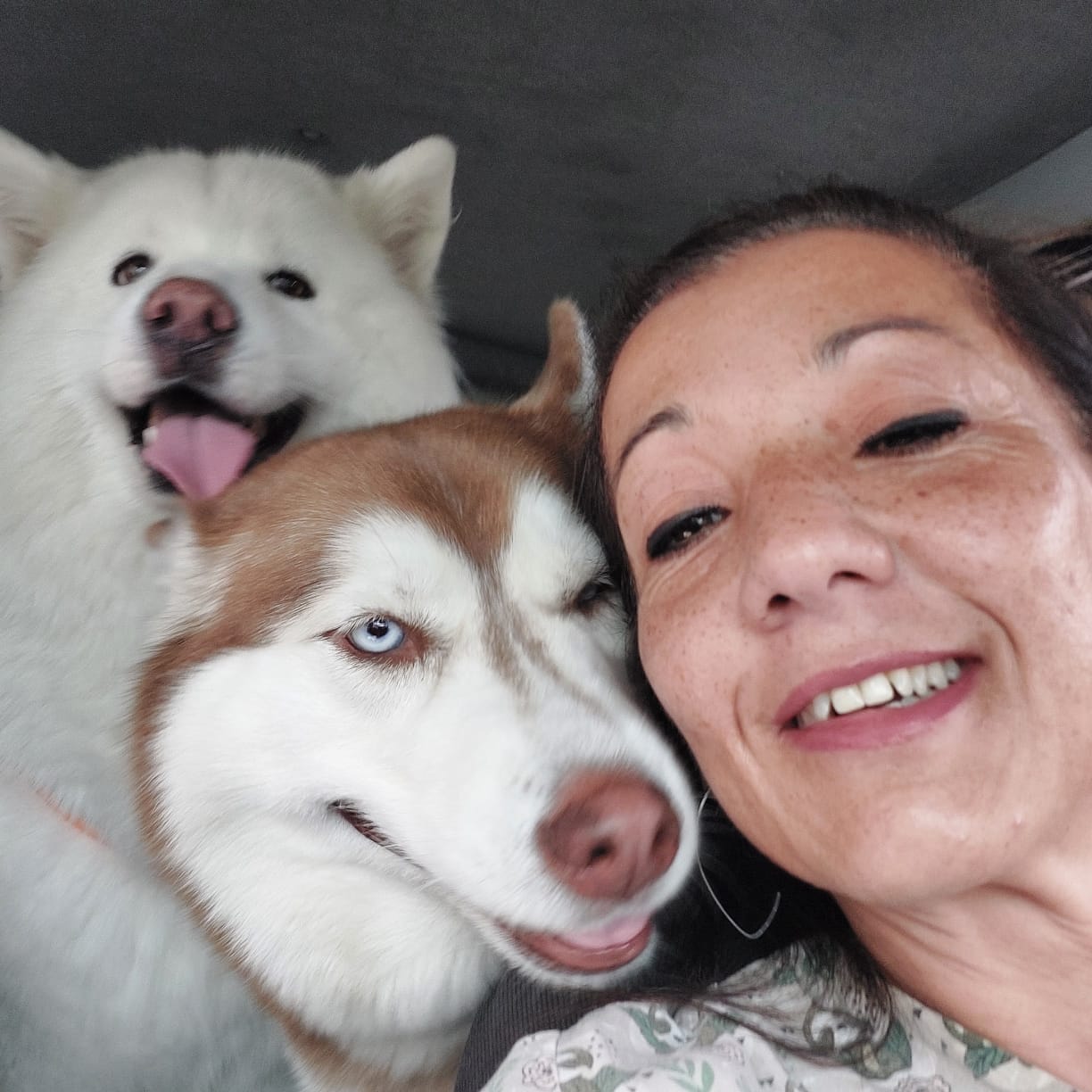 Momento de carinho com pets