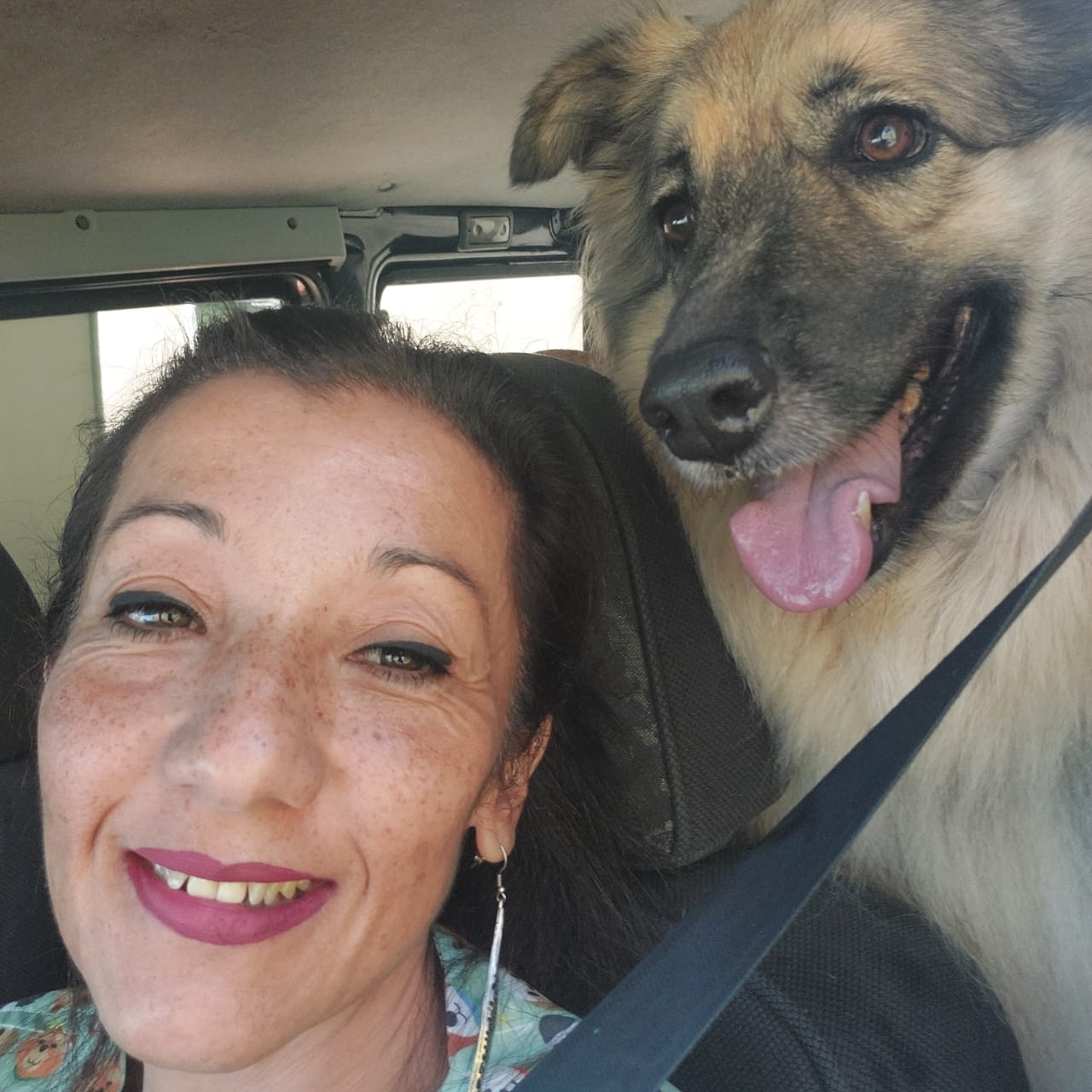 Transporte com afeto
