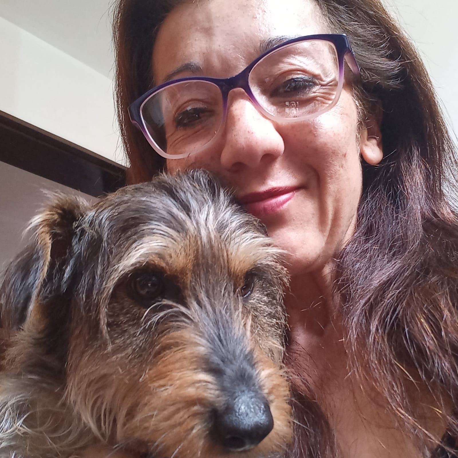 Cuidado especial com pets