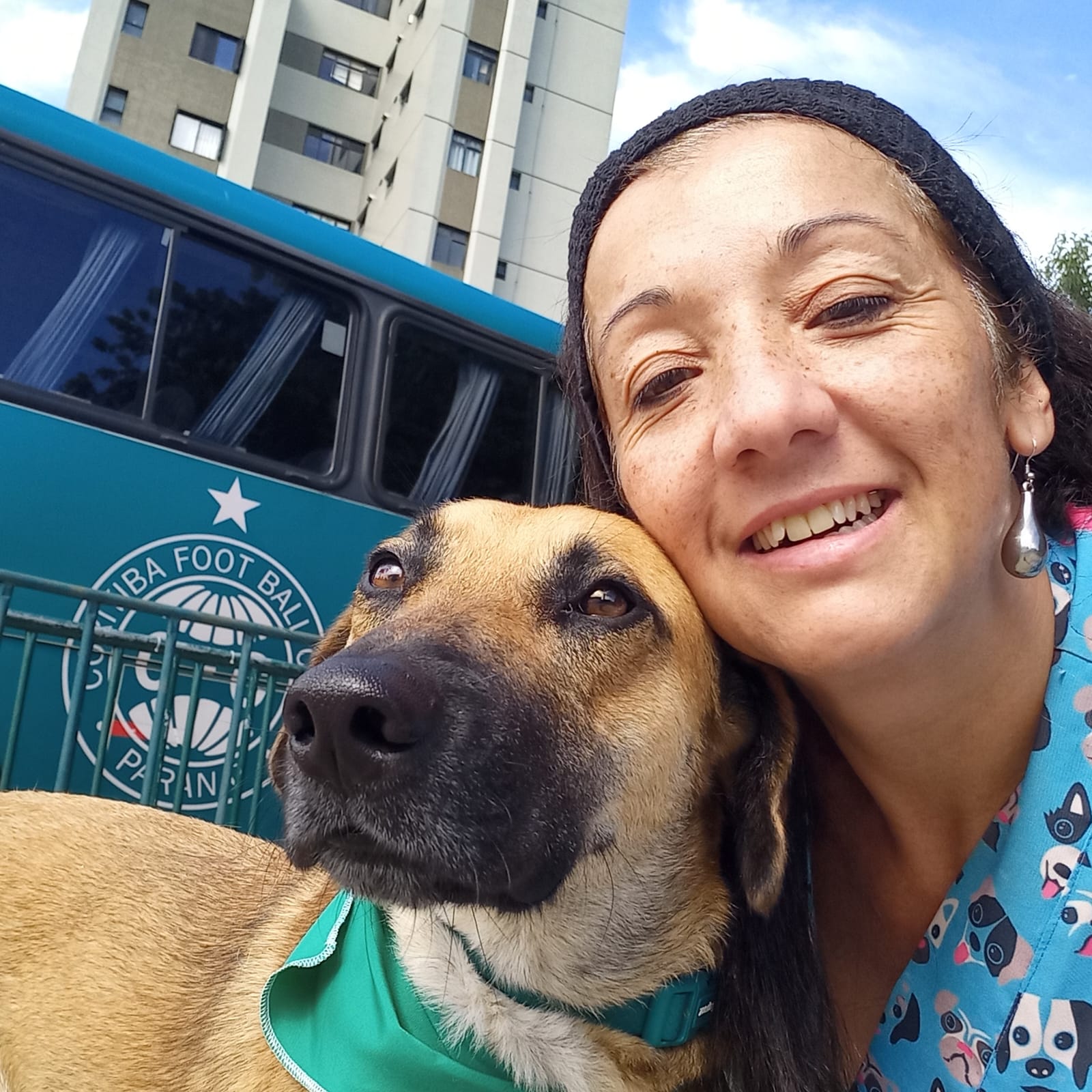 Viagem segura para pets