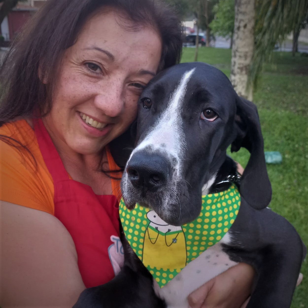 Pet transportado com cuidado