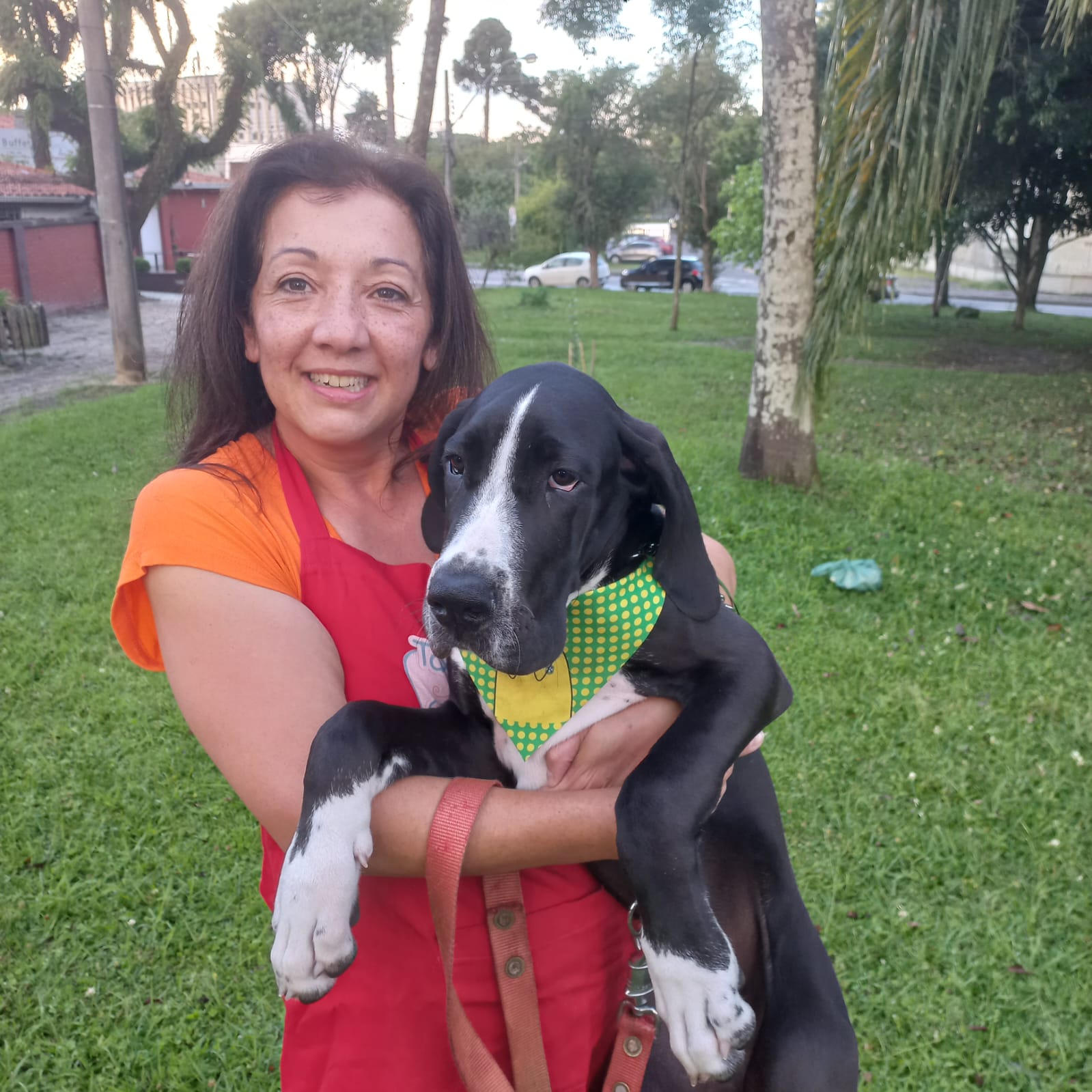 Cuidado com pets pequenos