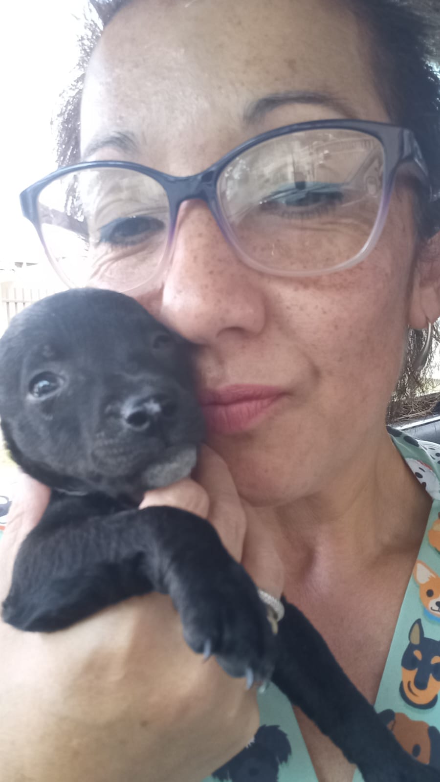 Pet em boas mãos