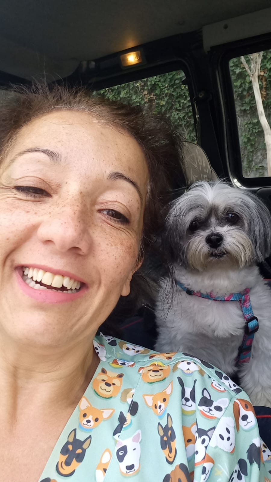 Viagem com carinho