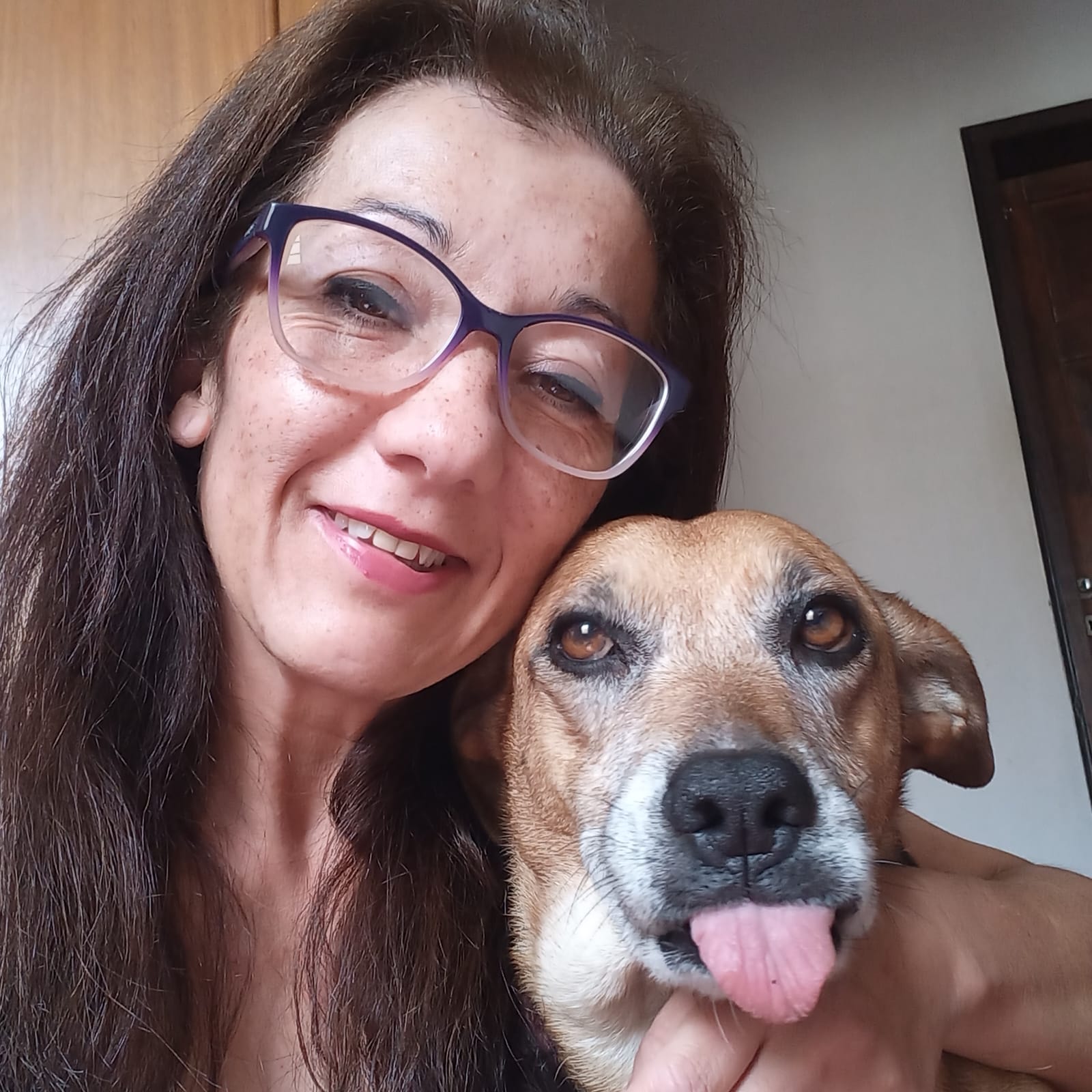Histórias de amor pet