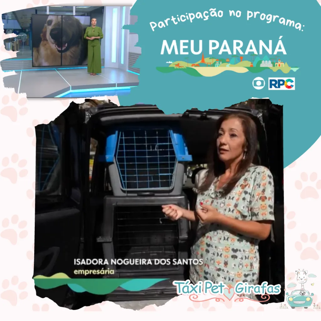 Programa Meu Paraná — RPC / Globo